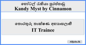 IT Trainee-Kandy Myst by Cinnamon