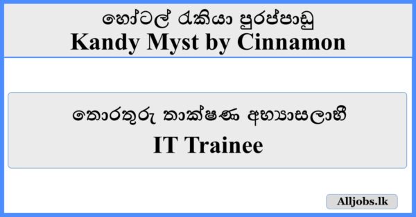 IT Trainee-Kandy Myst by Cinnamon