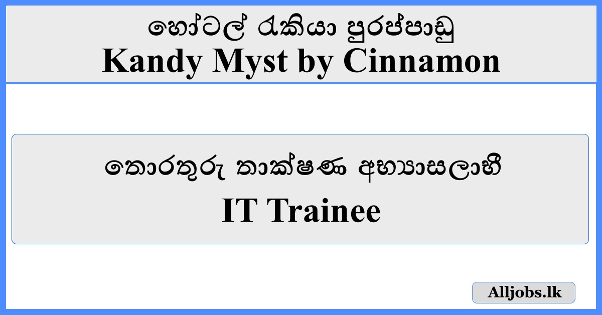 IT Trainee-Kandy Myst by Cinnamon