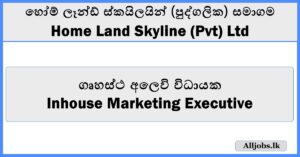 Inhouse Marketing Executive - Home Land Skyline (Pvt) Ltd