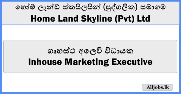 Inhouse Marketing Executive - Home Land Skyline (Pvt) Ltd