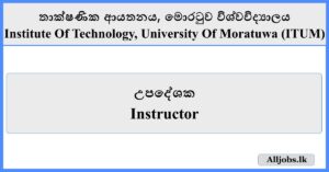 Instructor - Institute of Technology (ITUM)