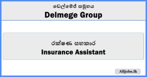 Insurance Assistant - Delmege Group