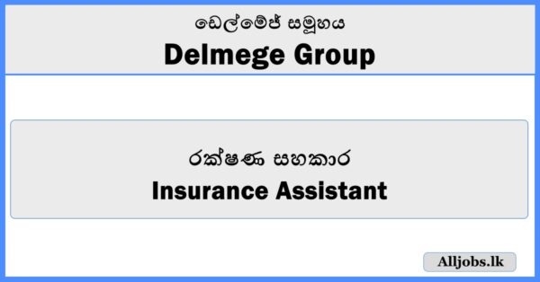 Insurance Assistant - Delmege Group