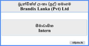 Intern - Brandix Lanka
