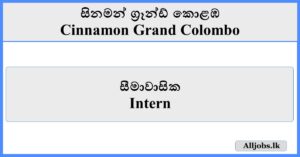 Intern - Cinnamon Grand Colombo