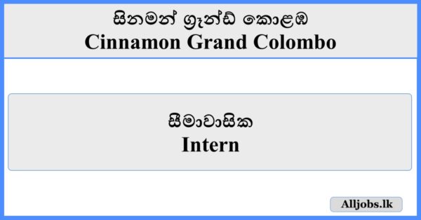 Intern - Cinnamon Grand Colombo
