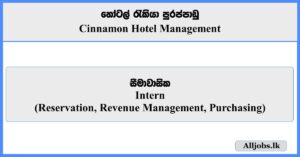 Intern - Cinnamon Hotel Management