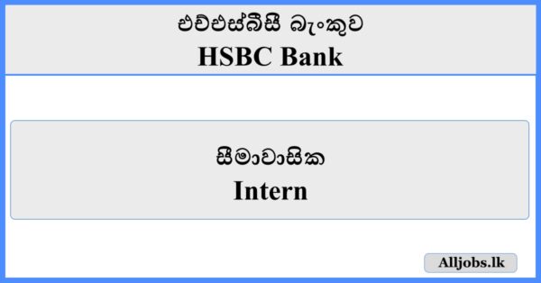 Intern - HSBC Bank
