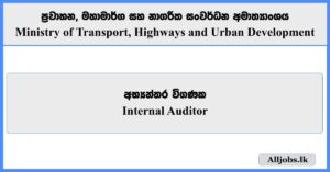 Internal Auditor - Ministry of Transport, Highways and Urban Development
