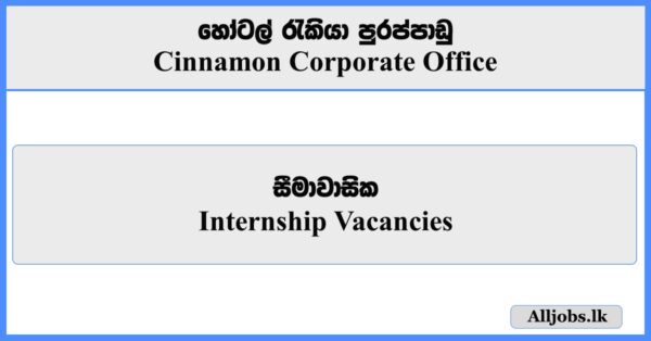 Internship Vacancies - Cinnamon Corporate Office