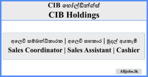 Job Vacancies - CIB Holdings