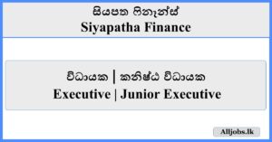 Job Vacancies - Siyapatha Finance