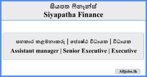 Job Vacancies - Siyapatha Finance