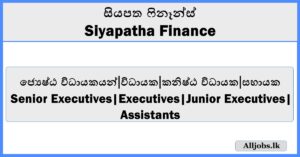 Job Vacancies - Siyapatha Finance