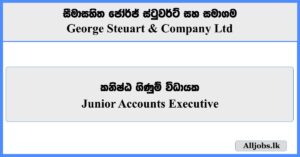 Junior Accounts Executive - George Steuart & Company Ltd