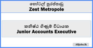 Junior Accounts Executive-Zest Metropole