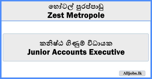Junior Accounts Executive-Zest Metropole