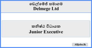 Junior Executive - Delmege