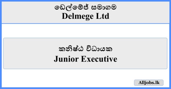 Junior Executive - Delmege