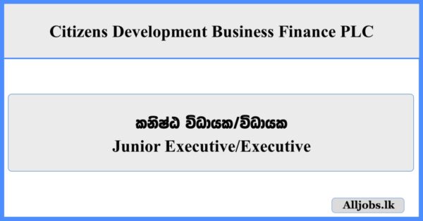 Junior Executive, Executive - Citizens Development Business Finance PLC