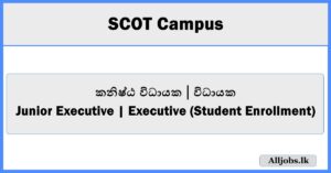 Junior Executive | Executive (Student Enrollment) - SCOT Campus