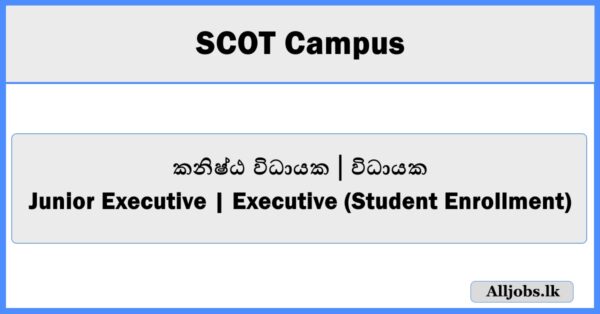 Junior Executive | Executive (Student Enrollment) - SCOT Campus