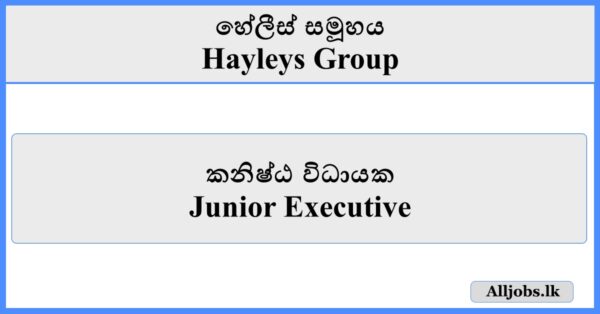 Junior Executive - Hayleys Group