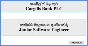 Junior Software Engineer - Cargills Bank