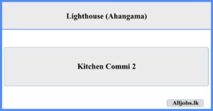 Kitchen Commi 2