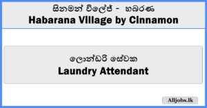 Laundry Attendant - Habarana Village by Cinnamon