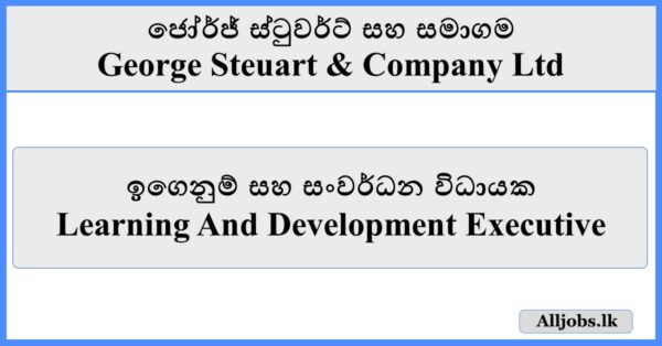 Learning And Development Executive - George Steuart & Company Ltd