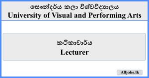 Lecturer - University of Visual and Performing Arts