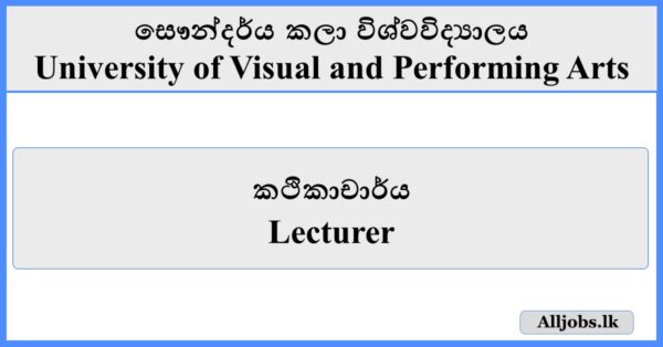 Lecturer - University of Visual and Performing Arts