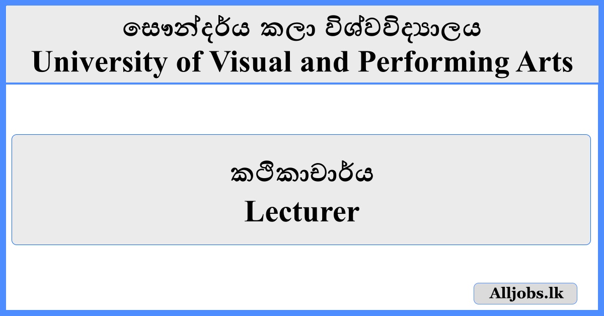 Lecturer - University of Visual and Performing Arts
