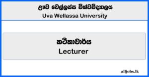 Lecturer - Uva Wellassa University Vacancies 2025