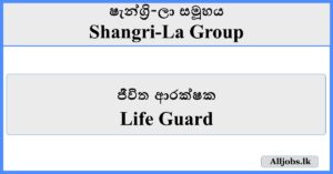 Life Guard - Shangri-La Group