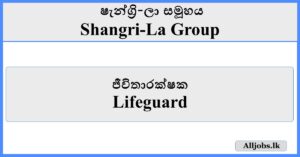 Lifeguard - Shangri-La Group