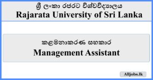 Management Assistant