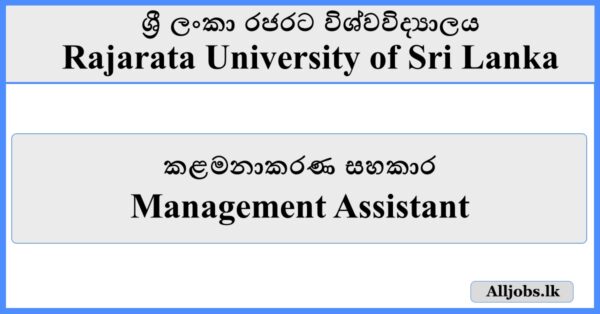 Management Assistant