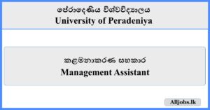 Management Assistant - University of Peradeniya