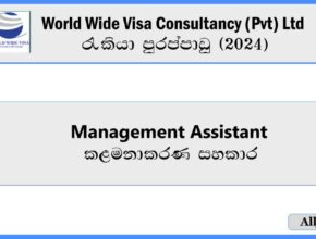 Management-Assistant-World-Wide-Visa-Consultancy-Pvt-Ltd-Job-Vacancies-2024.jpg
