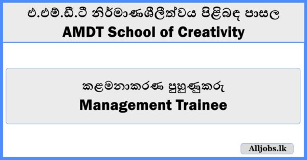 Management Trainee - AMDT School of Creativity