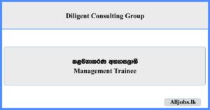 Management Trainee - Diligent Consulting Group