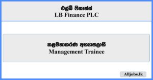 Management Trainee - LB Finance