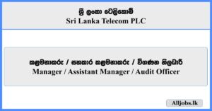 Manager, Assistant Manager, Audit Officer - Sri Lanka Telecom PLC 2026