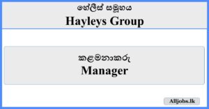 Manager- Hayleys Group