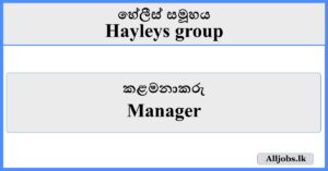 Manager - Hayleys Group