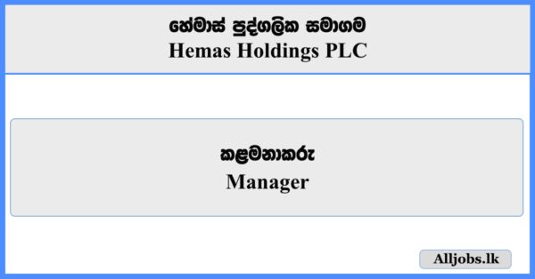 Manager - Hemas Holdings