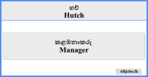 Manager - Hutch